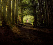 Load image into Gallery viewer, Garmin inReach® Mini 2, Flame Red